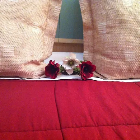 Hotel Stela Center 3*