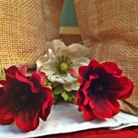 Stela Center Szálloda