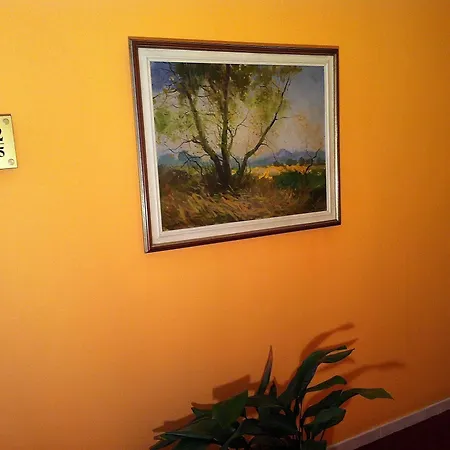 Stela Center מלון