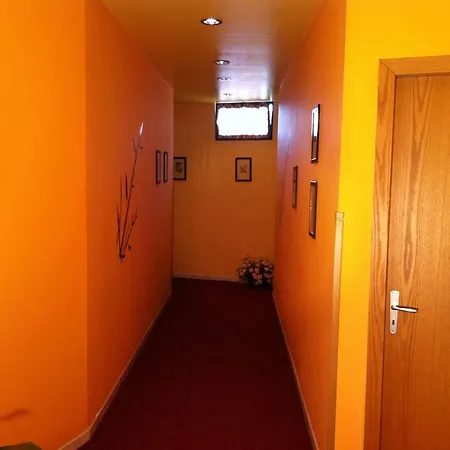 Stela Center 3*