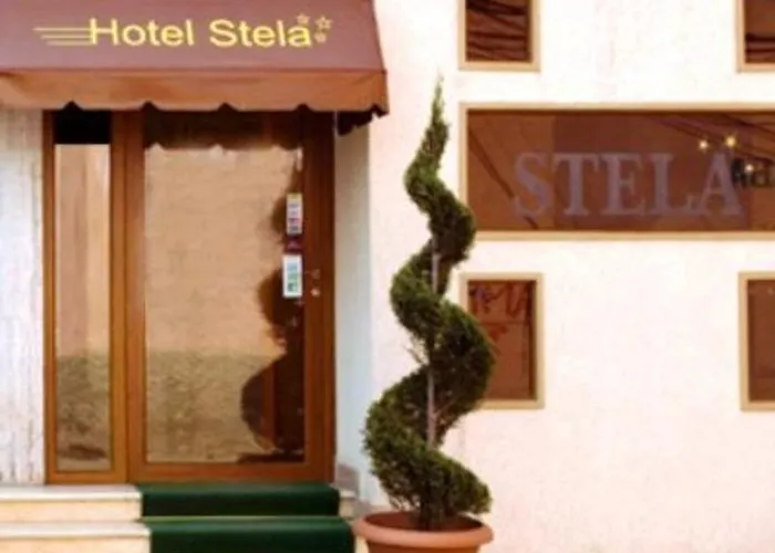 Stela Center