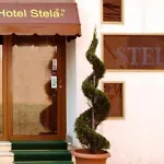 Stela Center