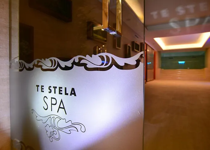 Stela Center 3*