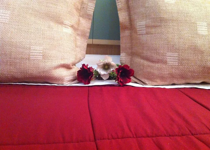 Hotel Stela Center 3*